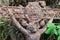 Old rusty cross lost in the woods