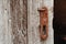 Old rusty deadbolt handle on a weathered wooden door