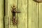 Old rusty door handle on green door. Detail of rustic old vintage and rusty grungy iron door handle installed on an ornament door