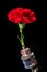 Old rusty drill head and carnation on a black background