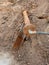 Old rusty drink waser pipe with flex member and plastic tube. Open excavation pit.