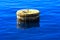 Old rusty floating sea buoy on the Red Sea against clear clear w