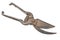 Old rusty garden pruning shear