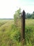 The old rusty gate crawling with wild centrosema weed.