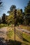 Old rusty and grungy street semaphore in between a cobblestone path and wooden curved path in a park