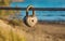 Old rusty heart shaped padlock on bridge metal cable.