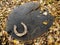 Old rusty horse shoe on a wooden background, symbol of luck. Fallen leafs around, Fall season