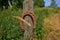 Old Rusty Horseshoe Nailed to Wooden Pole