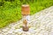 Old rusty hydrant in a concrete sidewalk - concept image