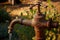 from old rusty large garden tap flows water for watering plants