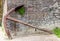 Old and rusty massive abandoned anchor leaning against a brick wall