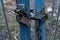 An old rusty metal castle and a large iron chain at a dilapidated gate with shabby blue paint on a pale background in muted horror