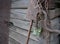 Old rusty metal chain, grid, shovel and lantern on the wooden logs background