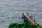 Old rusty metal pier photographed from above in the corner of the frame against the blue sea