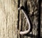 Old rusty nail in the piece of wood. macro