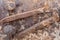 Old rusty nails for fastening rails and sleepers on railway track. Metal texture closeup for your design