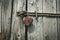Old rusty padlock on wooden door. open vintage lock. safety protection concept