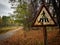 Old rusty pedestrian crossing roadsign in Chernobyl Exclusion Zone and unused since disaster old road. Ukraine