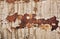 Old Rusty Peeling Paint Stain On Vintage Metal Surface Background