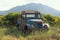 Old, Rusty Pickup Truck Abandoned on Roadside