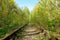 Old rusty rails of an abandoned railway