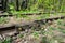 Old rusty rails of an abandoned railway. Side view