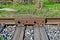 Old rusty rails of an abandoned railway. Side view