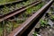 Old Rusty Rails On Unused Railroad Overgrown With Grass And Shrubs