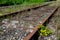 Old Rusty Rails On Unused Railroad Overgrown With Grass And Shrubs