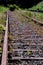 Old Rusty Rails On Unused Railroad Overgrown With Grass And Shrubs