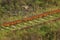 Old rusty railtracks in green grass