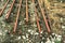 Old rusty railways. Railway details of rails joint with screws and nuts