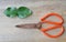Old rusty scissor and lemon leaf on wooden board