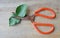 Old rusty scissor with red handle cutting lemon leaf on wooden board