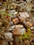 Old rusty screws laying on stone path