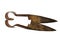 Old rusty sheep shearing scissors