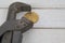 Old rusty silver pipe spanner clamps a golden coin bitcoin