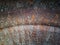 Old and rusty steel curved plate for abstract grunge background