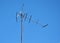 Old rusty television antenna