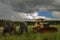 Old rusty tractors in a field