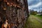 Old rusty train wagon background with shallow depth of field