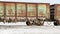 Old rusty train wagons with stalactites of salt