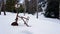 An old rusty tricycle in the winter forest