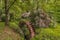 Old rusty watermill wheel, embellished by nature. France near An