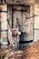 Old rusty wheelbarrow leaned against antique wooden door