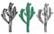 Old saguaro cactus isolated on white background, Carnegiea gigantea illustration. Black and white and color set