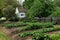 Old Salem NC: Miksch House Colonial Garden
