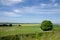 Old Saram With Green Grass And Blue Sky