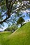 Old Sarum settlement remains Salisbury Wiltshire South West England UK