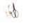 Old scissors rope sack and leaves on white floor,Craft concept a